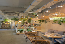 Top 5 Mẫu Cây Xanh Phòng Khách Phổ Biến Top 5 Mẫu Cây Xanh Phòng Khách Phổ Biến