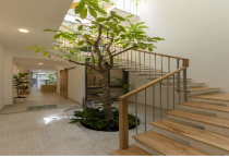 6 Cách Trang Trí Cầu Thang Bằng Cây Xanh 6 Cách Trang Trí Cầu Thang Bằng Cây Xanh