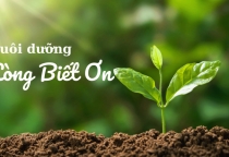 Viết Về Lòng Biết Ơn  Viết Về Lòng Biết Ơn