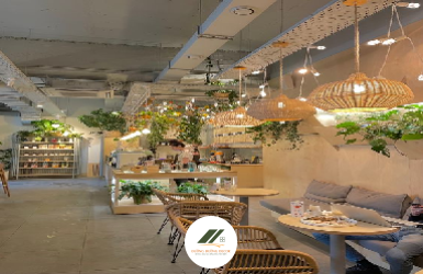 Top 5 Mẫu Cây Xanh Phòng Khách Phổ Biến