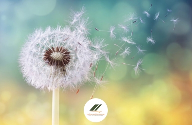 Ai Rồi Cũng Đi Qua Cơn Bão Của Riêng Mình