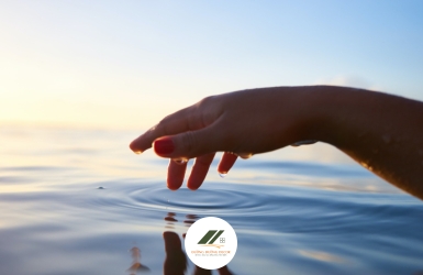 Chữa Lành Bằng Tình Thương