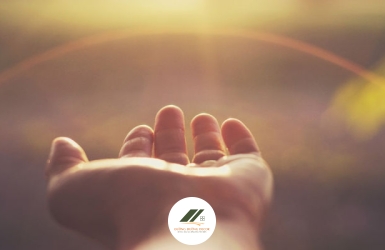 Khám phá sức mạnh của lòng biết ơn