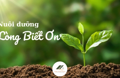 Viết Về Lòng Biết Ơn 